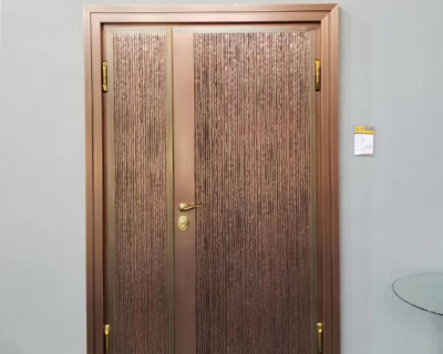 Armored Door